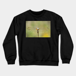 Dragonfly Crewneck Sweatshirt